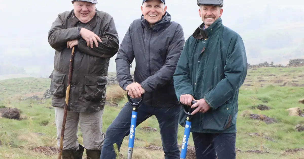 Ogilvie Fleet fights climate change with reforestation project