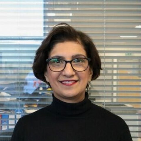 Photograph of Ranjit Grewal